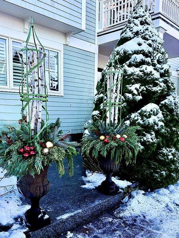 Seahorse Fine Gardening | Christmas Planters