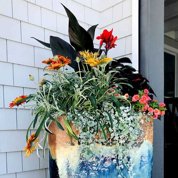 Seahorse Fine Gardening | NH custom container garden design