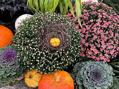 Seahorse Fine Gardening | NH flower garden display