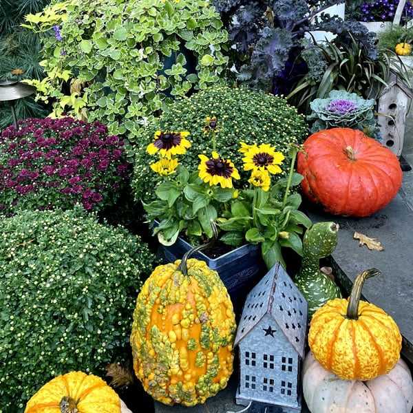 Seahorse Fine Gardening |  Fall flower display