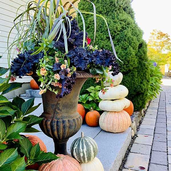 Seahorse Fine Gardening | NH potted plant design