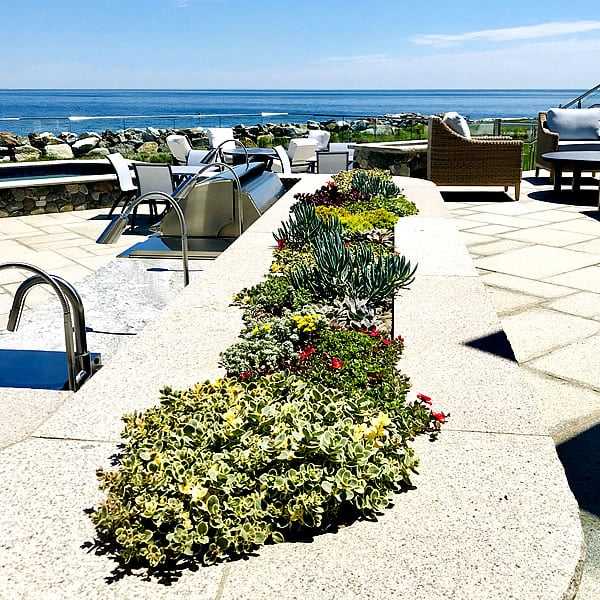 Seahorse Fine Gardening |  NH seacoast garden design