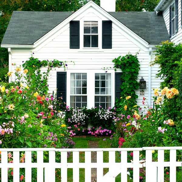 Seahorse Fine Gardening |  NH outdoor perennial garden