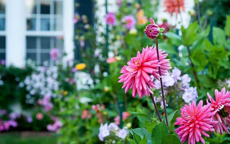Seahorse Fine Gardening | NH Seacoast garden installation