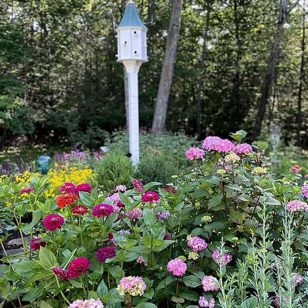 Seahorse Fine Gardening | NH Perennial Garden Installation services