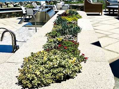 Seahorse Fine Gardening | NH flowered planted boxes