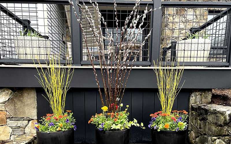 Seahorse Fine Gardening | NH seacoast potted garden design