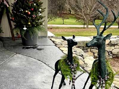 Seahorse Fine Gardening | NH seasonal Christmas display