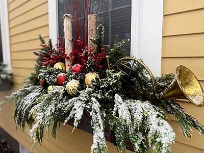 Seahorse Fine Gardening | Christmas Window Box Design
